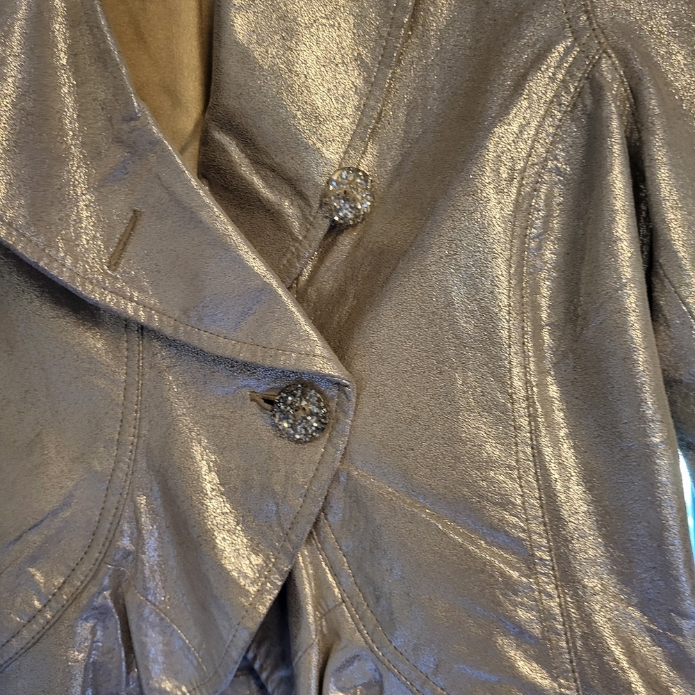 Metallic Silver Jacket - image 3